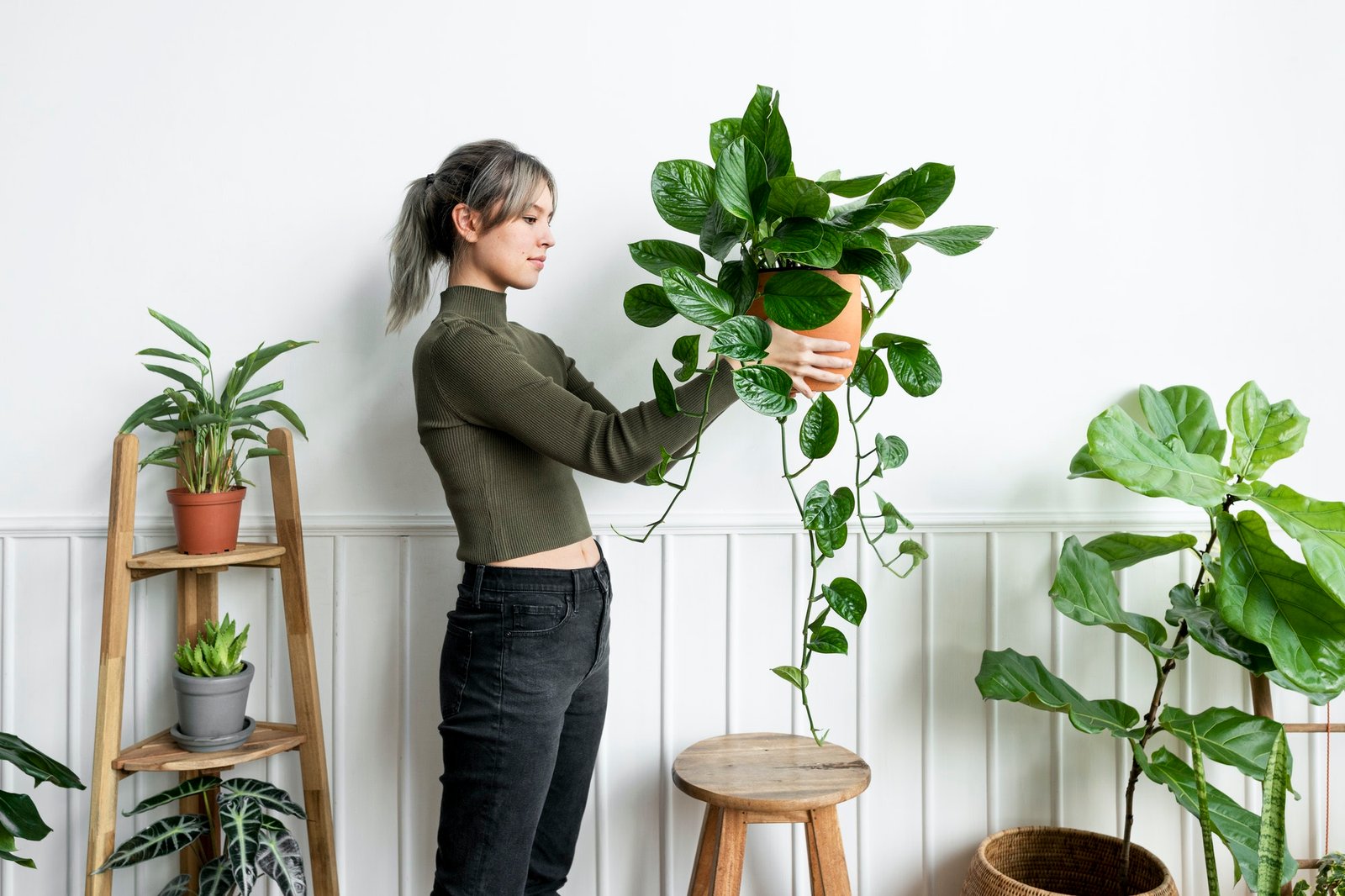 happy-woman-carrying-a-houseplant.jpg happy-woman-carrying-a-houseplant.jpg